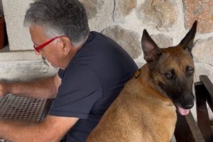 adriatic-airways-2025-02-012